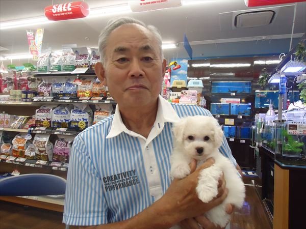 写真