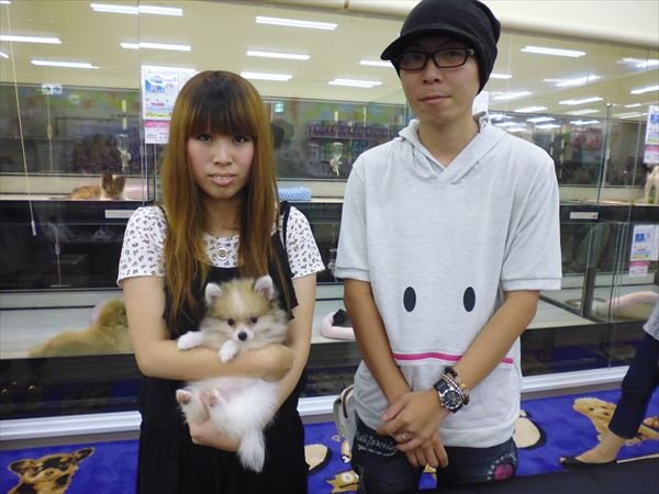 写真