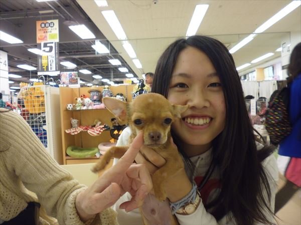 写真