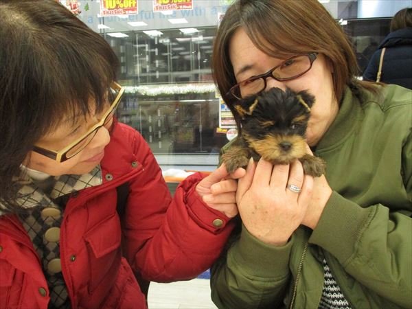 写真