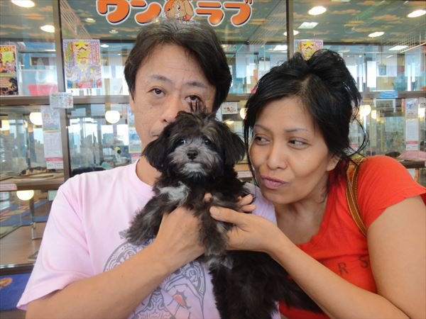 写真