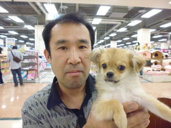 写真