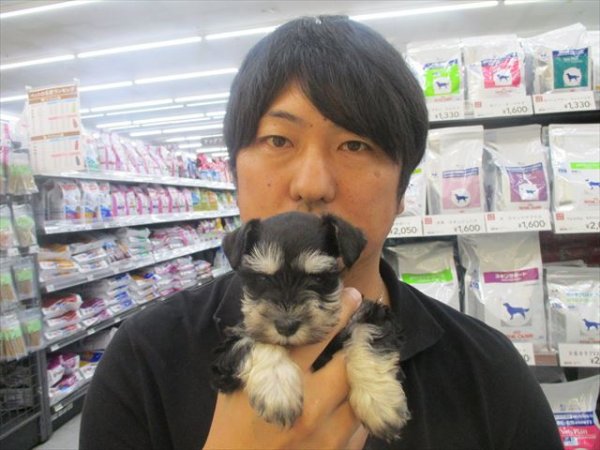 写真