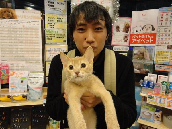 写真