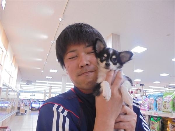 写真