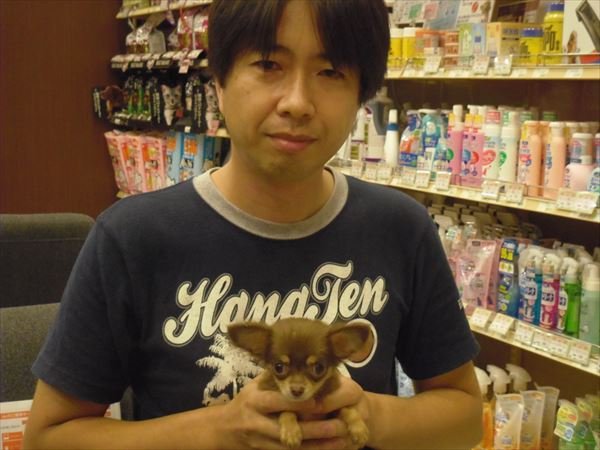 写真