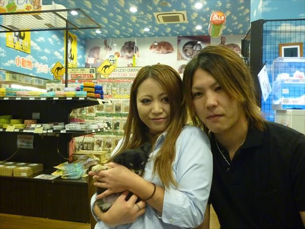 写真