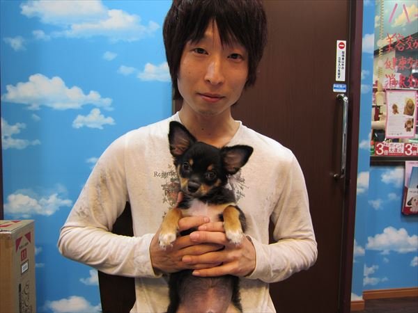 写真