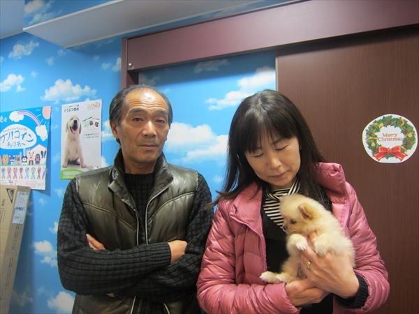 写真
