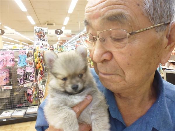 写真