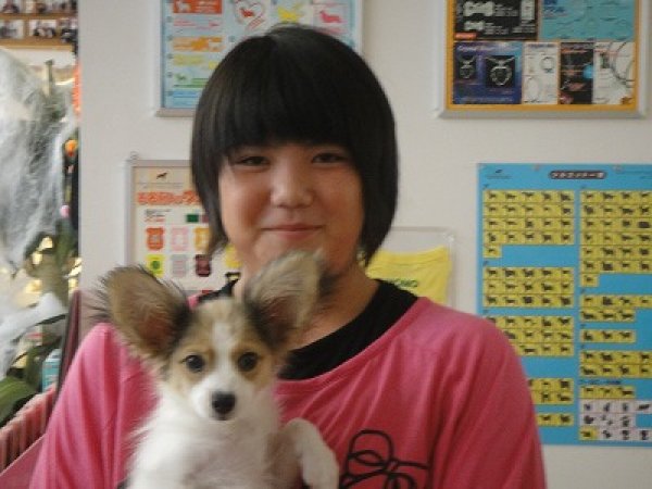 写真