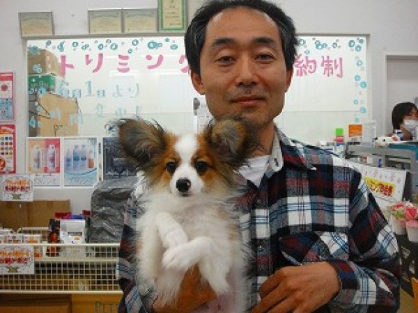写真