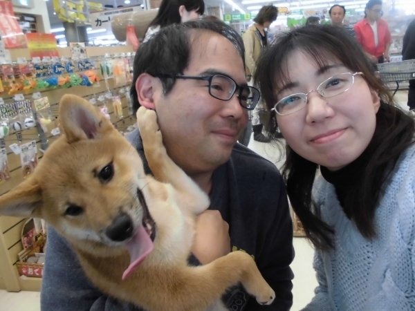 写真