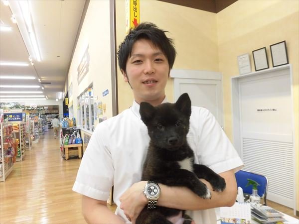 写真