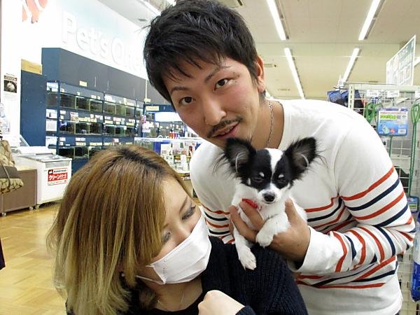 写真