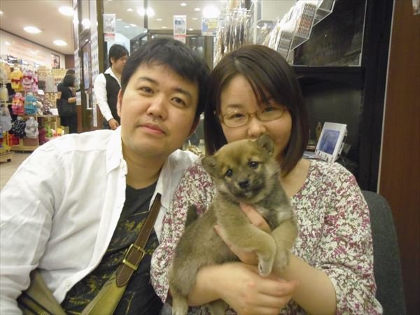 写真