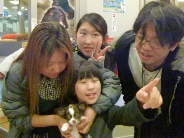 写真
