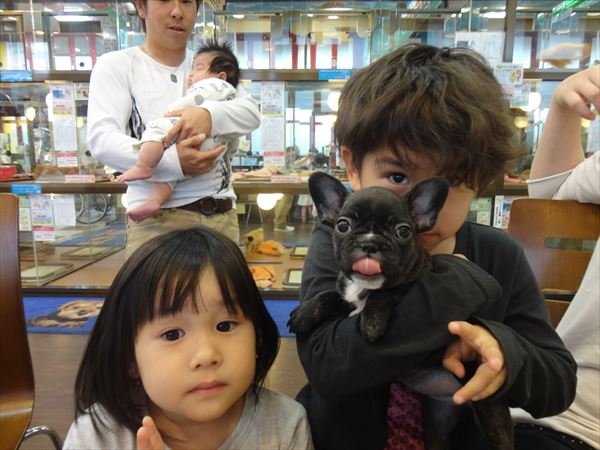 写真