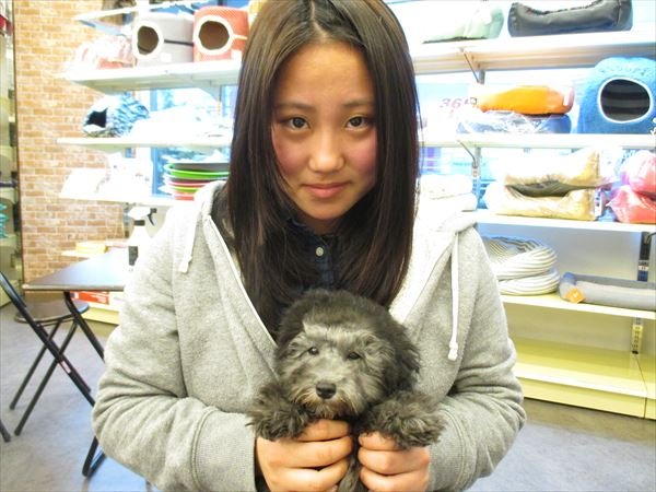 写真