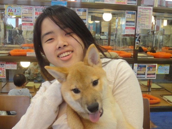 写真