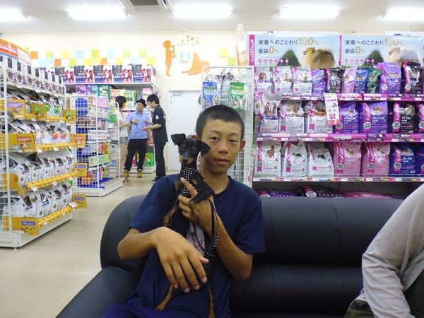 写真