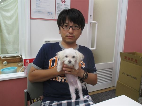 写真