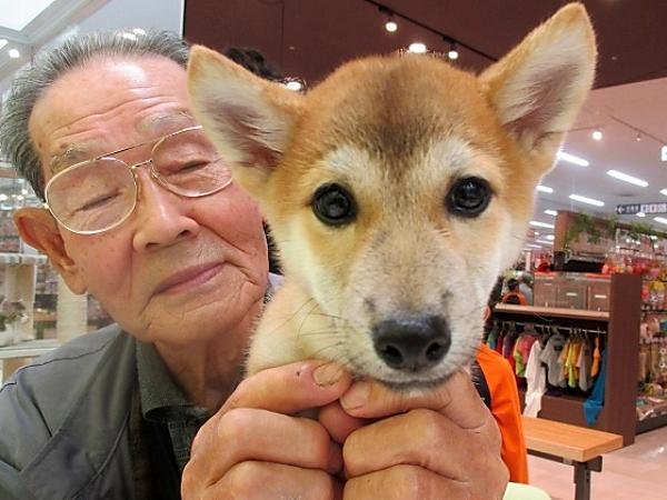 写真