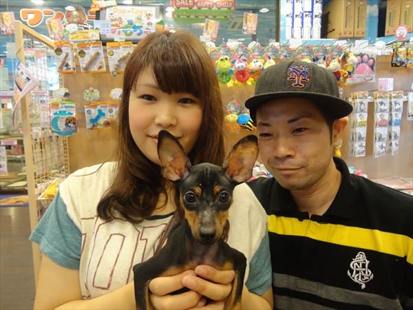 写真