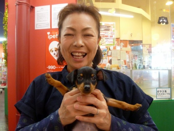 写真