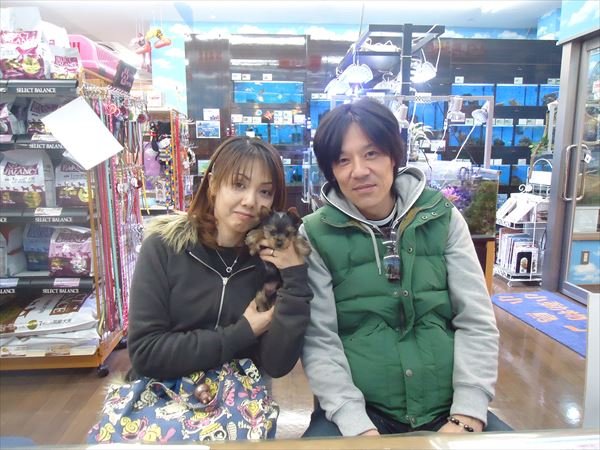 写真