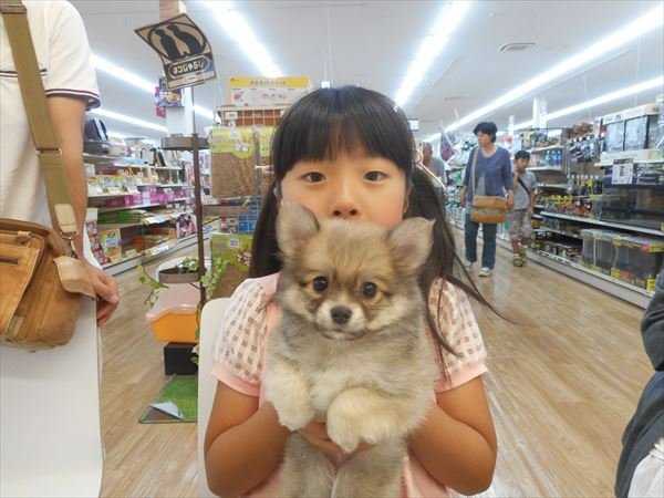 写真