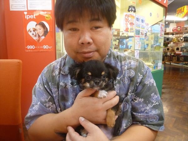 写真