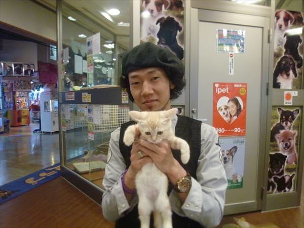 写真