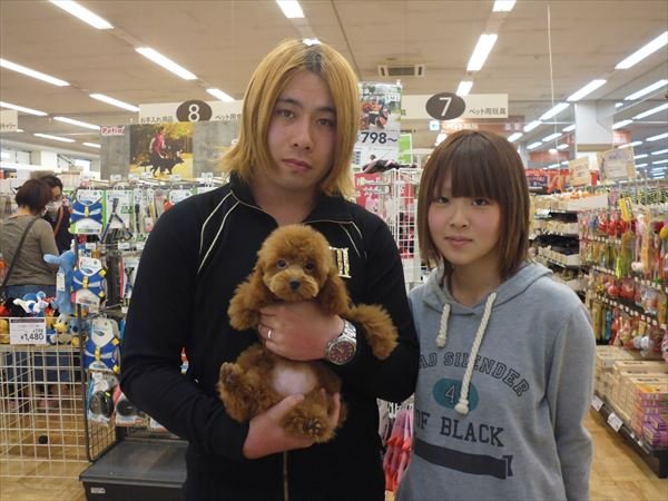 写真