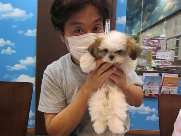 写真
