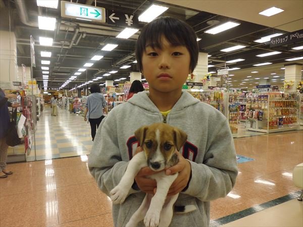 写真