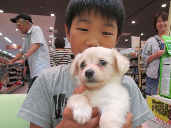 写真