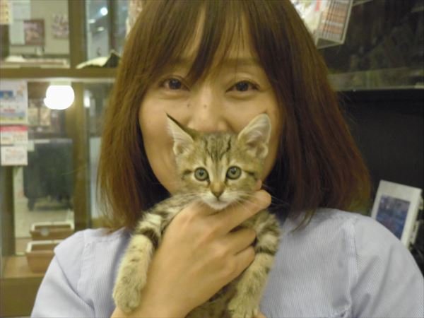 写真