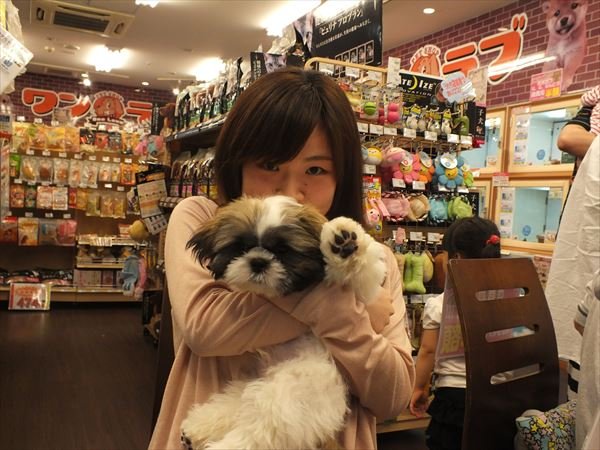 写真