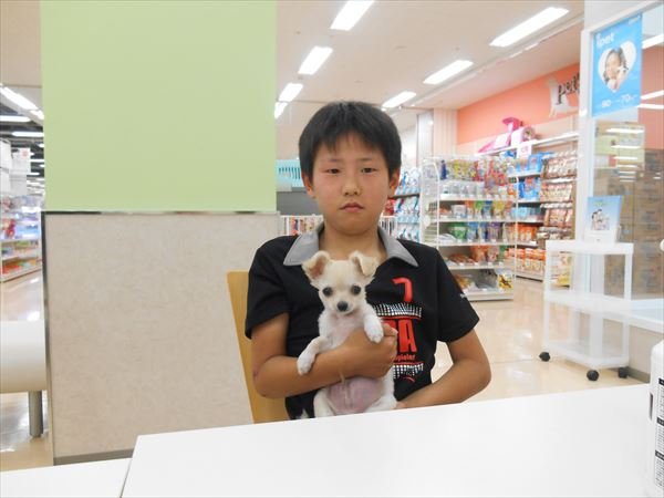 写真