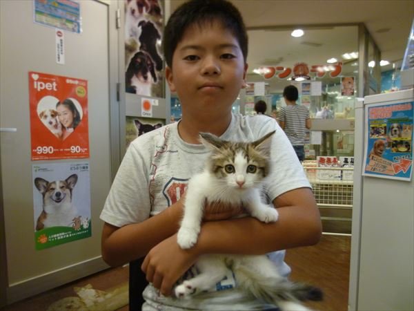写真