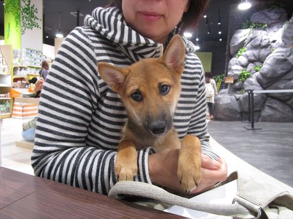 写真