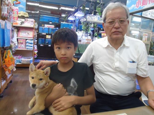 写真