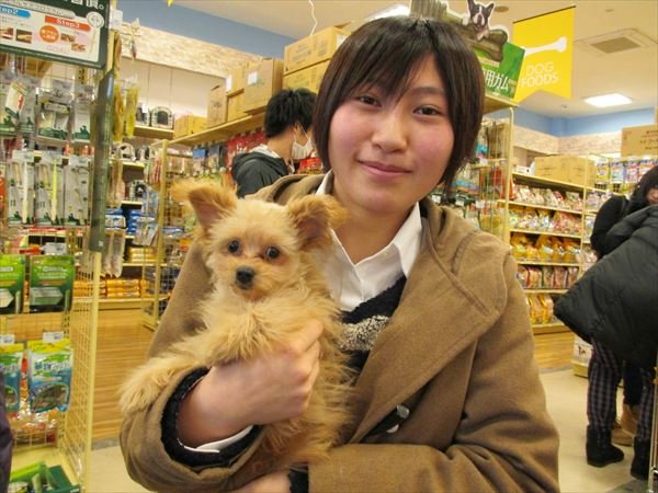 写真