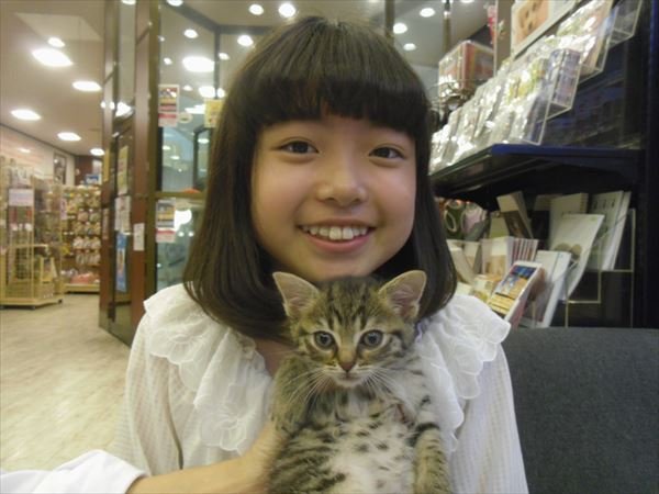 写真