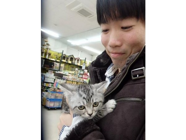 写真