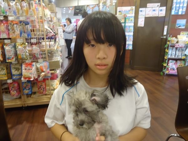 写真