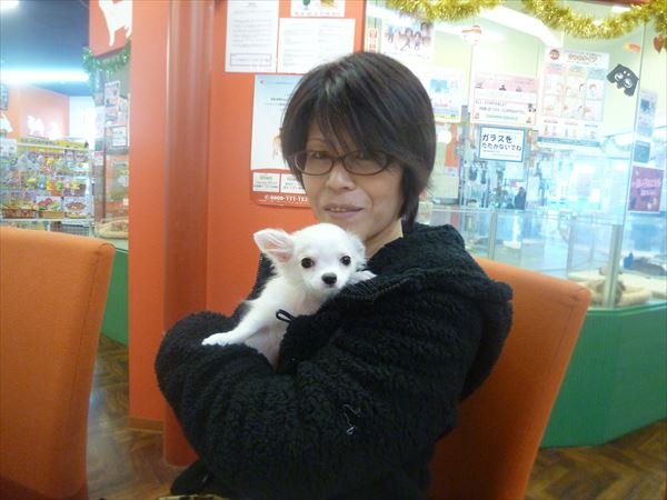 写真