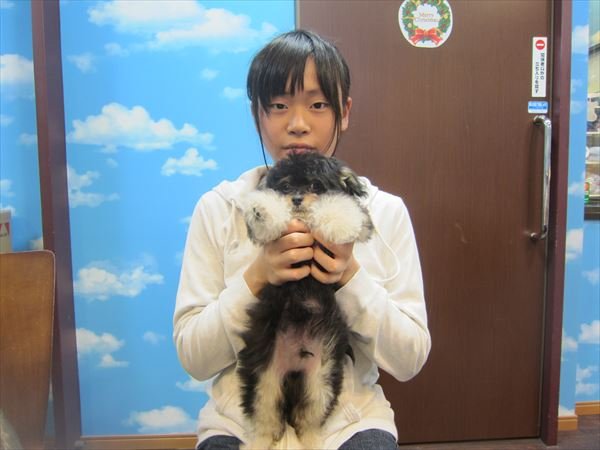 写真