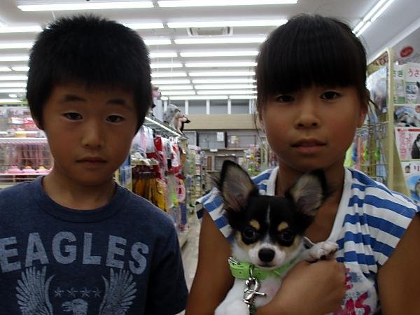 写真